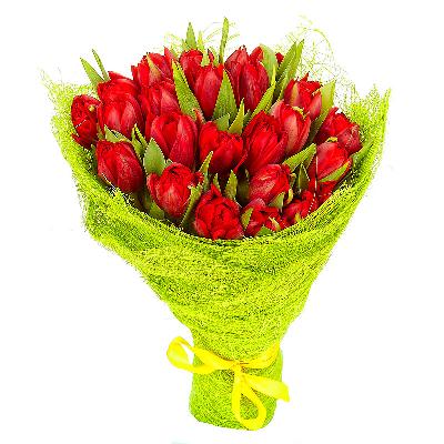 Букет из 25 тюльпанов "Красные"